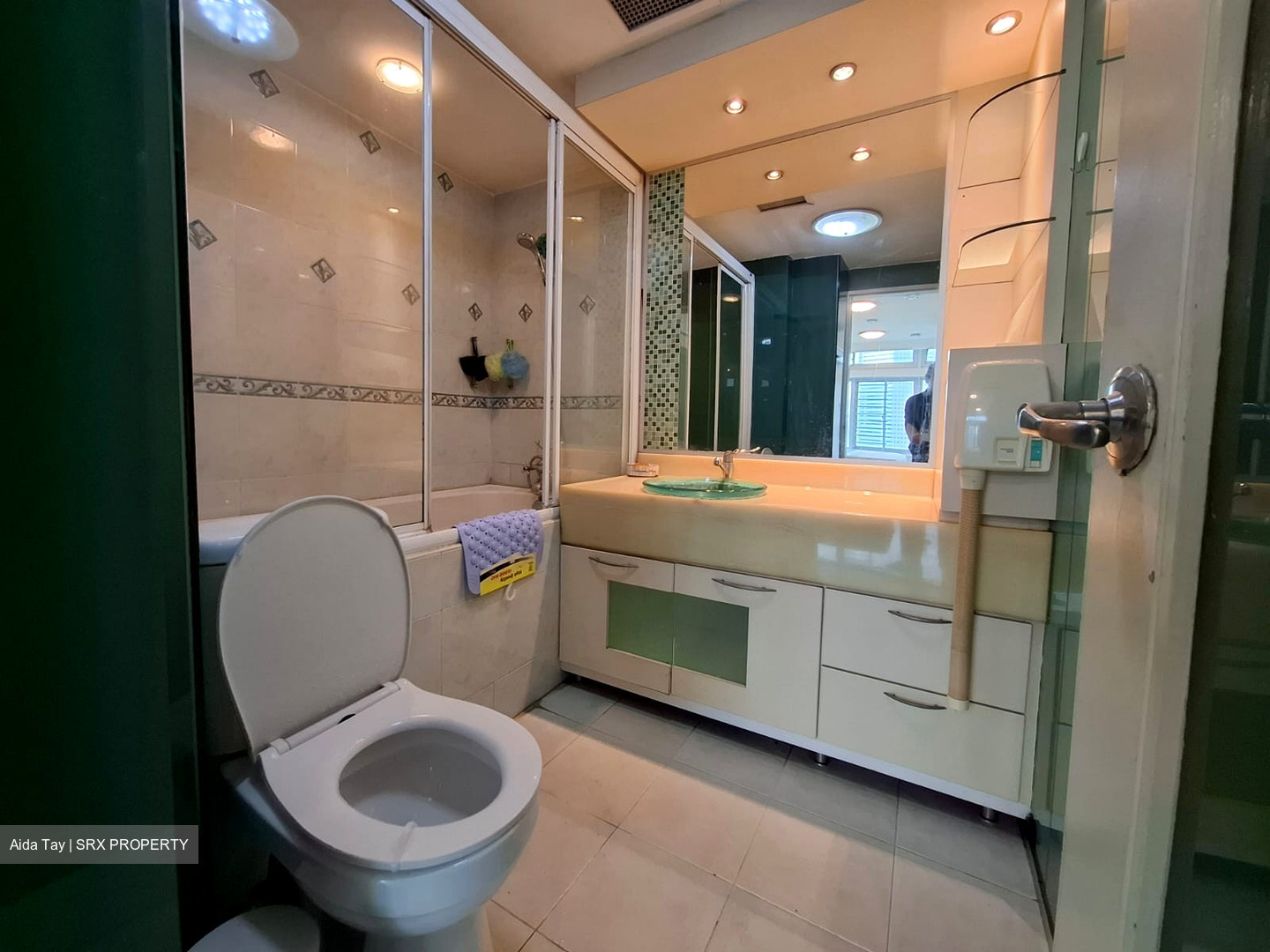 The Plaza (D7), Apartment #479753401